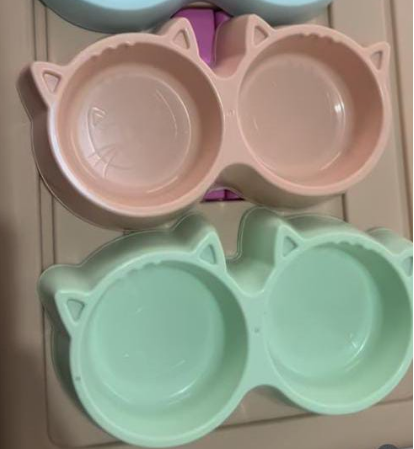 Bowls & Feeding