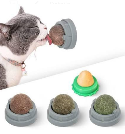 Catnip toy
