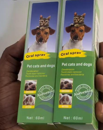 Oral Care for Dogs and Cats